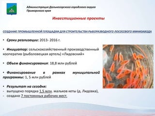 Администрация Дальнегорского городского округа 
Приморского края 
Инвестиционные проекты 
СОЗДАНИЕ ПРОМЫШЛЕННОЙ ПЛОЩАДКИ ДЛЯ СТРОИТЕЛЬСТВА РЫБОРАЗВОДНОГО ЛОСОСЕВОГО МИНИЗАВОДА 
• Сроки реализации: 2013- 2016 г. 
• Инициатор: сельскохозяйственный производственный 
кооператив (рыболовецкая артель) «Лидовский» 
• Объем финансирования: 18,8 млн рублей 
• Финансирование в рамках муниципальной 
программы: 1, 5 млн рублей 
• Результат на сегодня: 
- выпущено порядка 1,5 млн. мальков кеты (д. Лидовка), 
- создано 7 постоянных рабочих мест. 
 