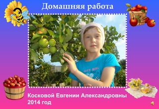 Домашняя работа 
Косковой Евгении Александровны 
2014 год 
 