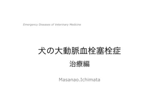 犬の大動脈血栓塞栓症
治療編
Masanao.Ichimata
Emergency Diseases of Veterinary Medicine
 