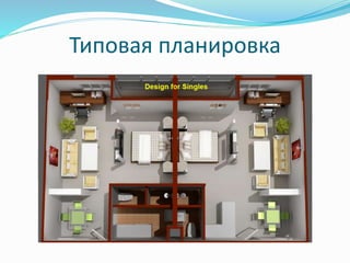 Типовая планировка 
 