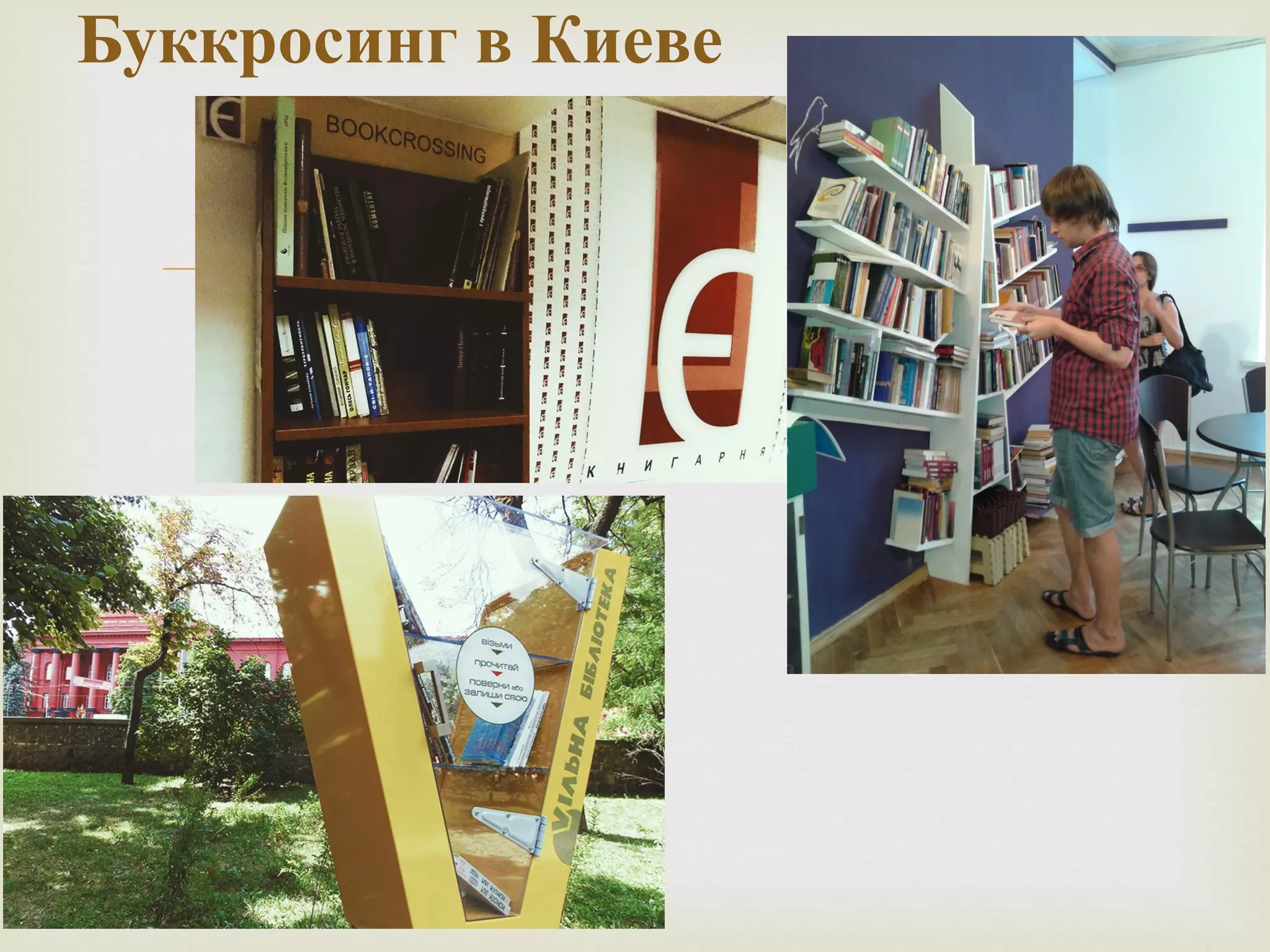 Буккросинг в Киеве 
 
 
