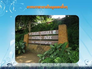 งานสังคม มาเลเซีย