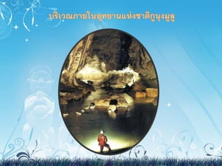 งานสังคม มาเลเซีย