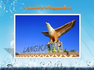 งานสังคม มาเลเซีย