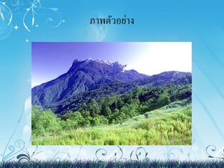 ภาพตัวอย่าง 
 