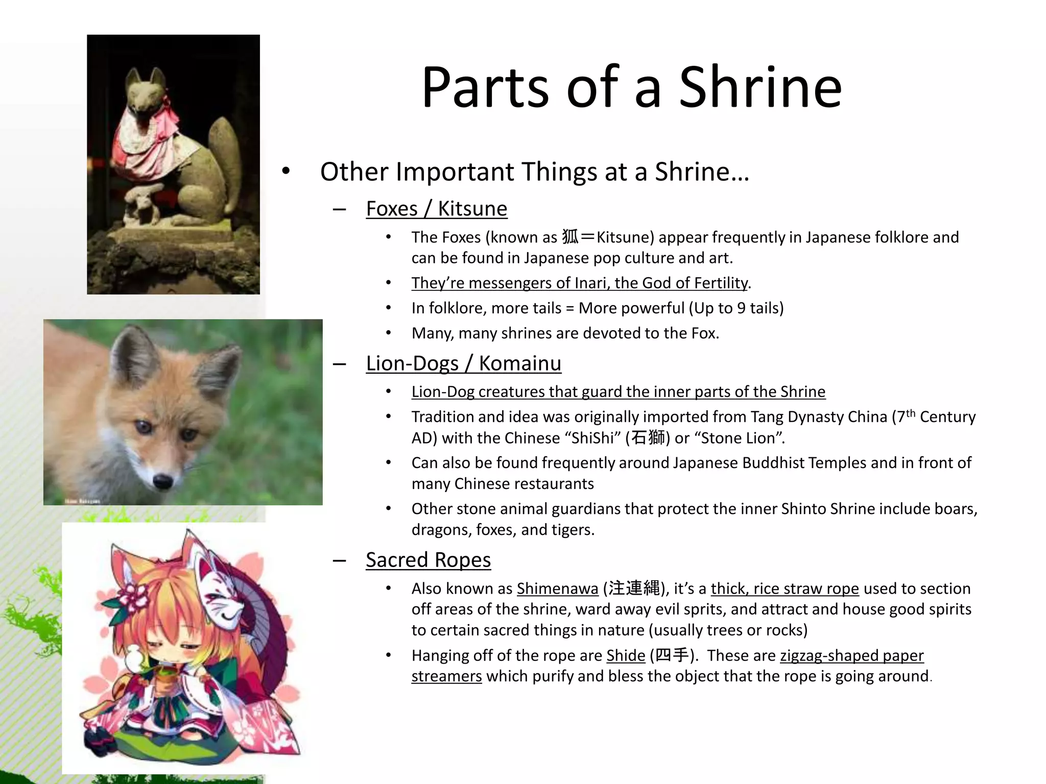 Parts of a Shrine 
• Other Important Things at a Shrine… 
– Foxes / Kitsune 
• The Foxes (known as 狐＝Kitsune) appear frequently in Japanese folklore and 
can be found in Japanese pop culture and art. 
• They’re messengers of Inari, the God of Fertility. 
• In folklore, more tails = More powerful (Up to 9 tails) 
• Many, many shrines are devoted to the Fox. 
– Lion-Dogs / Komainu 
• Lion-Dog creatures that guard the inner parts of the Shrine 
• Tradition and idea was originally imported from Tang Dynasty China (7th Century 
AD) with the Chinese “ShiShi” (石獅) or “Stone Lion”. 
• Can also be found frequently around Japanese Buddhist Temples and in front of 
many Chinese restaurants 
• Other stone animal guardians that protect the inner Shinto Shrine include boars, 
dragons, foxes, and tigers. 
– Sacred Ropes 
• Also known as Shimenawa (注連縄), it’s a thick, rice straw rope used to section 
off areas of the shrine, ward away evil sprits, and attract and house good spirits 
to certain sacred things in nature (usually trees or rocks) 
• Hanging off of the rope are Shide (四手). These are zigzag-shaped paper 
streamers which purify and bless the object that the rope is going around. 
 