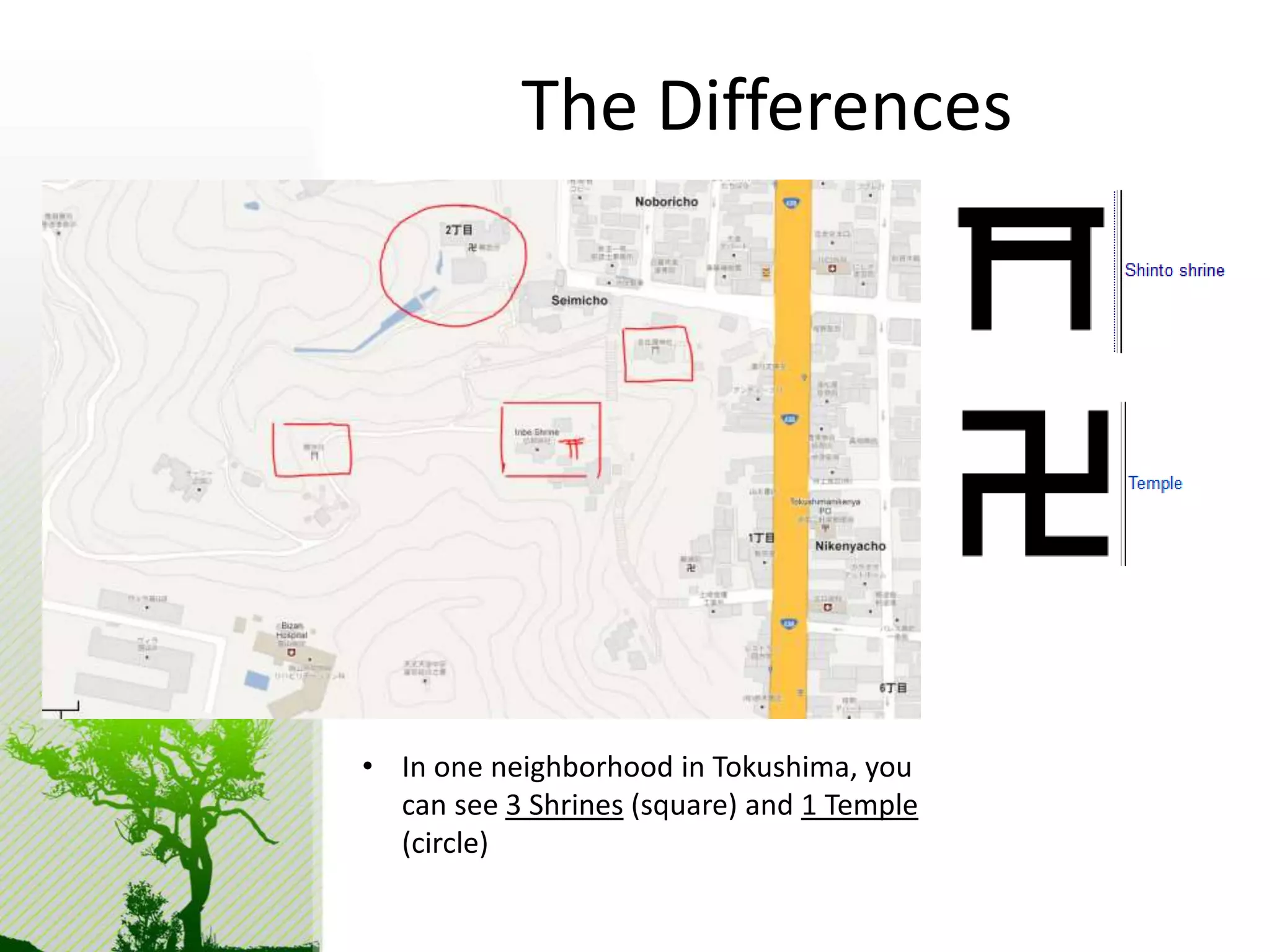The Differences 
• In one neighborhood in Tokushima, you 
can see 3 Shrines (square) and 1 Temple 
(circle) 
 