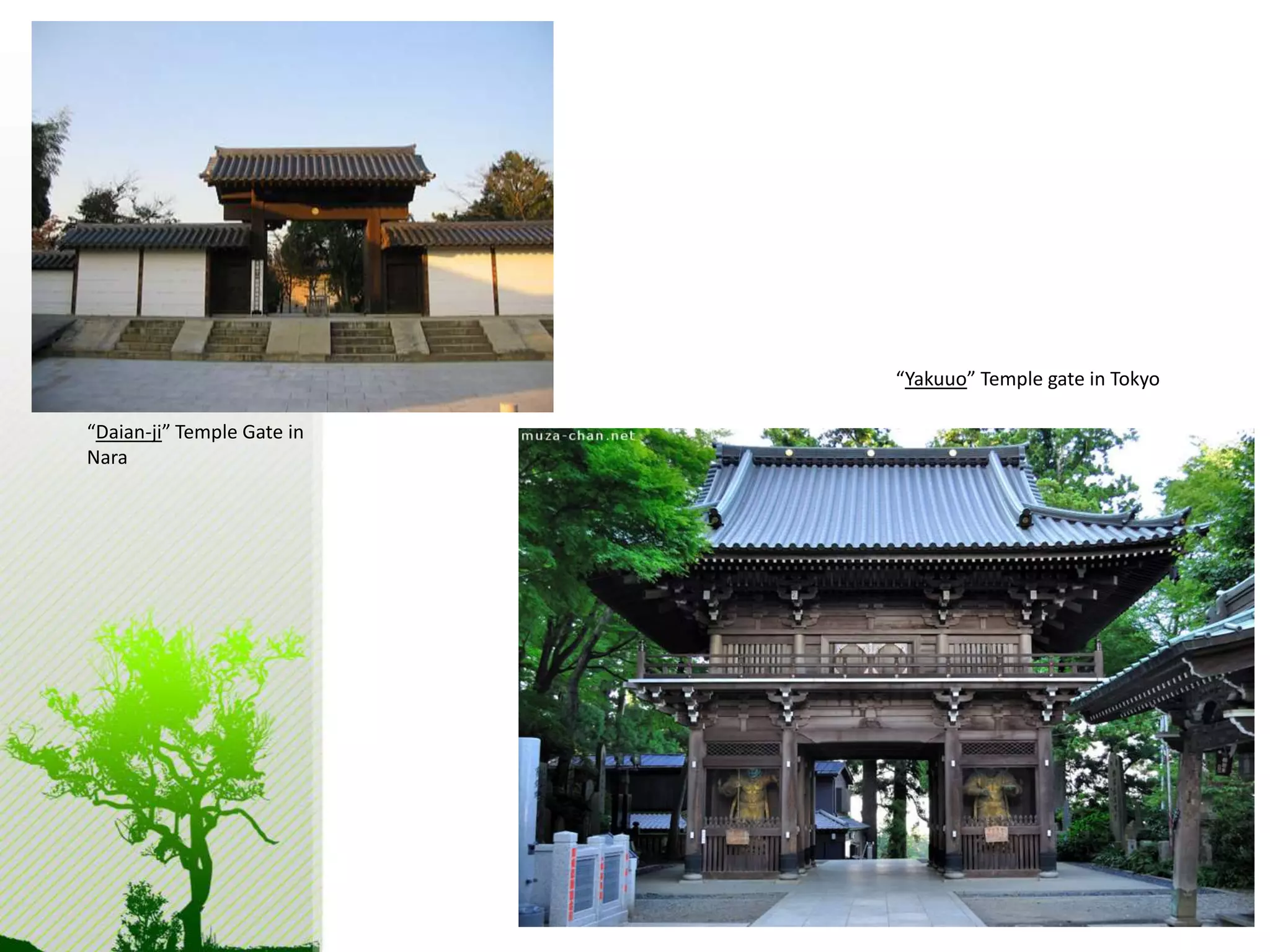 “Yakuuo” Temple gate in Tokyo 
“Daian-ji” Temple Gate in 
Nara 
 