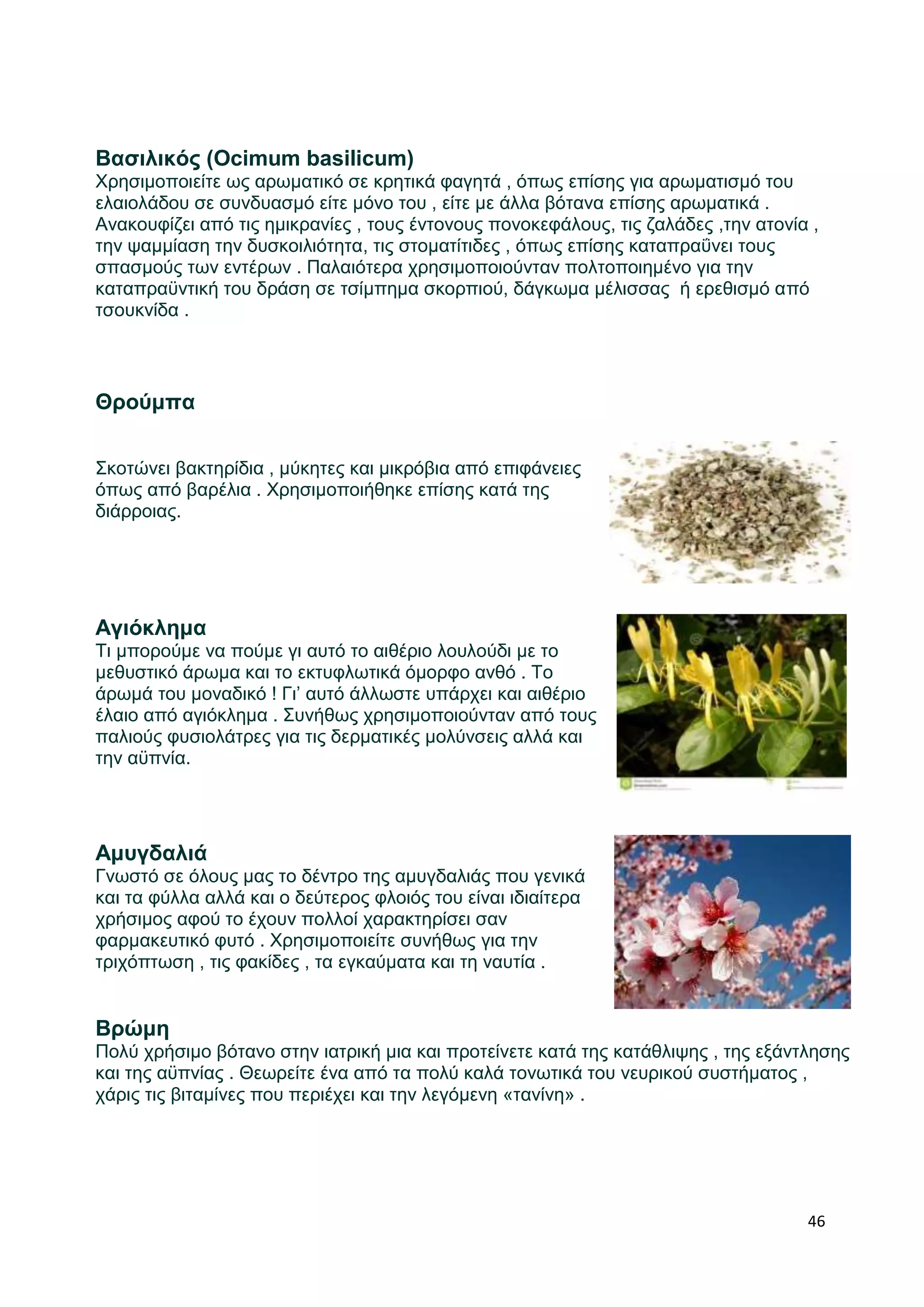 Βασιλικός (Ocimum basilicum) 
Χρησιμοποιείτε ως αρωματικό σε κρητικά φαγητά , όπως επίσης για αρωματισμό του 
ελαιολάδου σε συνδυασμό είτε μόνο του , είτε με άλλα βότανα επίσης αρωματικά . 
Ανακουφίζει από τις ημικρανίες , τους έντονους πονοκεφάλους, τις ζαλάδες ,την ατονία , 
την ψαμμίαση την δυσκοιλιότητα, τις στοματίτιδες , όπως επίσης καταπραΰνει τους 
σπασμούς των εντέρων . Παλαιότερα χρησιμοποιούνταν πολτοποιημένο για την 
καταπραϋντική του δράση σε τσίμπημα σκορπιού, δάγκωμα μέλισσας ή ερεθισμό από 
τσουκνίδα . 
46 
Θρούμπα 
Σκοτώνει βακτηρίδια , μύκητες και μικρόβια από επιφάνειες 
όπως από βαρέλια . Χρησιμοποιήθηκε επίσης κατά της 
διάρροιας. 
Αγιόκλημα 
Τι μπορούμε να πούμε γι αυτό το αιθέριο λουλούδι με το 
μεθυστικό άρωμα και το εκτυφλωτικά όμορφο ανθό . Το 
άρωμά του μοναδικό ! Γι’ αυτό άλλωστε υπάρχει και αιθέριο 
έλαιο από αγιόκλημα . Συνήθως χρησιμοποιούνταν από τους 
παλιούς φυσιολάτρες για τις δερματικές μολύνσεις αλλά και 
την αϋπνία. 
Αμυγδαλιά 
Γνωστό σε όλους μας το δέντρο της αμυγδαλιάς που γενικά 
και τα φύλλα αλλά και ο δεύτερος φλοιός του είναι ιδιαίτερα 
χρήσιμος αφού το έχουν πολλοί χαρακτηρίσει σαν 
φαρμακευτικό φυτό . Χρησιμοποιείτε συνήθως για την 
τριχόπτωση , τις φακίδες , τα εγκαύματα και τη ναυτία . 
Βρώμη 
Πολύ χρήσιμο βότανο στην ιατρική μια και προτείνετε κατά της κατάθλιψης , της εξάντλησης 
και της αϋπνίας . Θεωρείτε ένα από τα πολύ καλά τονωτικά του νευρικού συστήματος , 
χάρις τις βιταμίνες που περιέχει και την λεγόμενη «τανίνη» . 
 