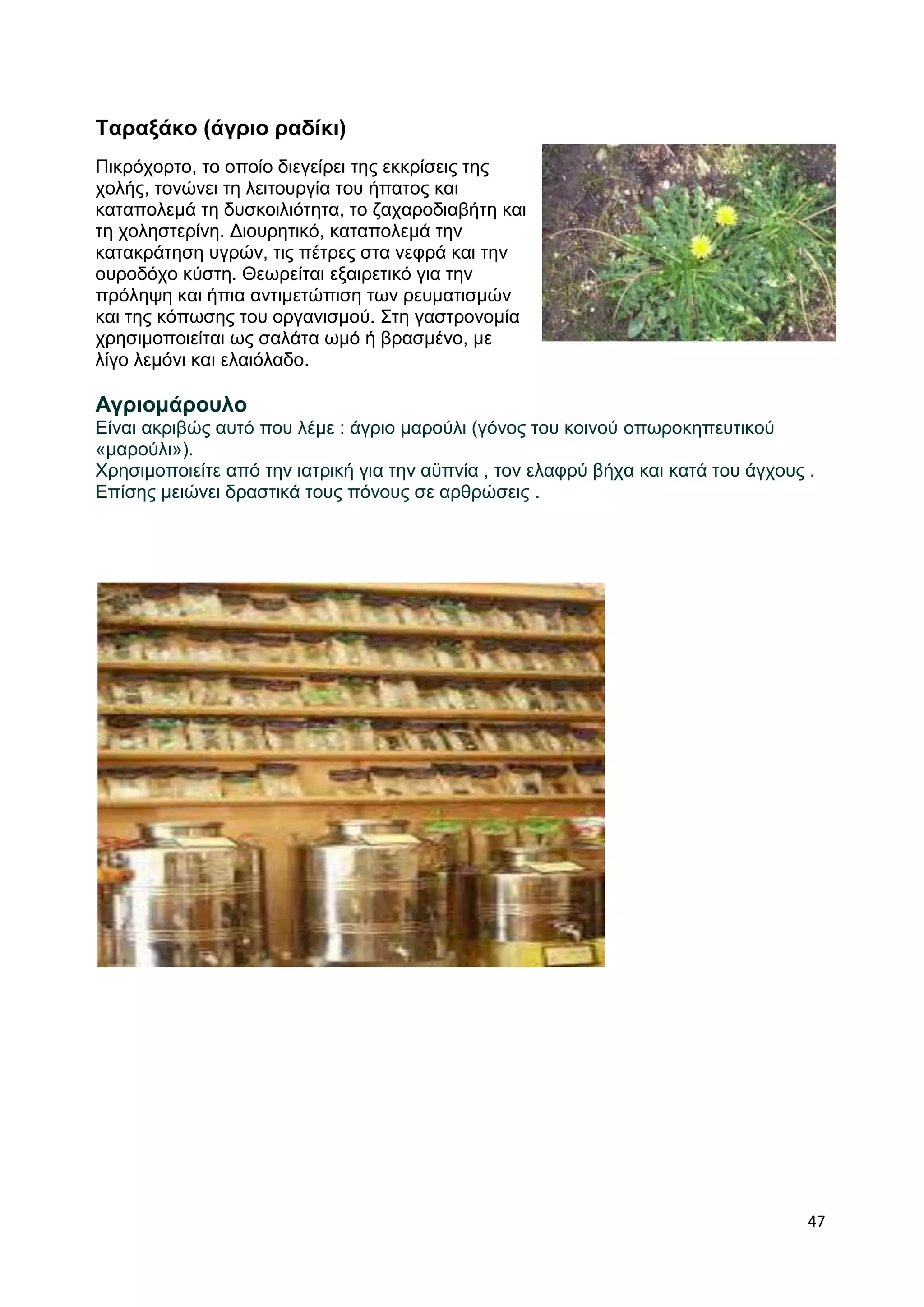 47 
Ταραξάκο (άγριο ραδίκι) 
Πικρόχορτο, το οποίο διεγείρει της εκκρίσεις της 
χολής, τονώνει τη λειτουργία του ήπατος και 
καταπολεμά τη δυσκοιλιότητα, το ζαχαροδιαβήτη και 
τη χοληστερίνη. Διουρητικό, καταπολεμά την 
κατακράτηση υγρών, τις πέτρες στα νεφρά και την 
ουροδόχο κύστη. Θεωρείται εξαιρετικό για την 
πρόληψη και ήπια αντιμετώπιση των ρευματισμών 
και της κόπωσης του οργανισμού. Στη γαστρονομία 
χρησιμοποιείται ως σαλάτα ωμό ή βρασμένο, με 
λίγο λεμόνι και ελαιόλαδο. 
Αγριομάρουλο 
Είναι ακριβώς αυτό που λέμε : άγριο μαρούλι (γόνος του κοινού οπωροκηπευτικού 
«μαρούλι»). 
Χρησιμοποιείτε από την ιατρική για την αϋπνία , τον ελαφρύ βήχα και κατά του άγχους . 
Επίσης μειώνει δραστικά τους πόνους σε αρθρώσεις . 
 
