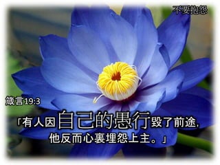 不要抱怨 
箴言19:3 
「有人因自己的愚行毀了前途， 
他反而心裏埋怨上主。」 
 