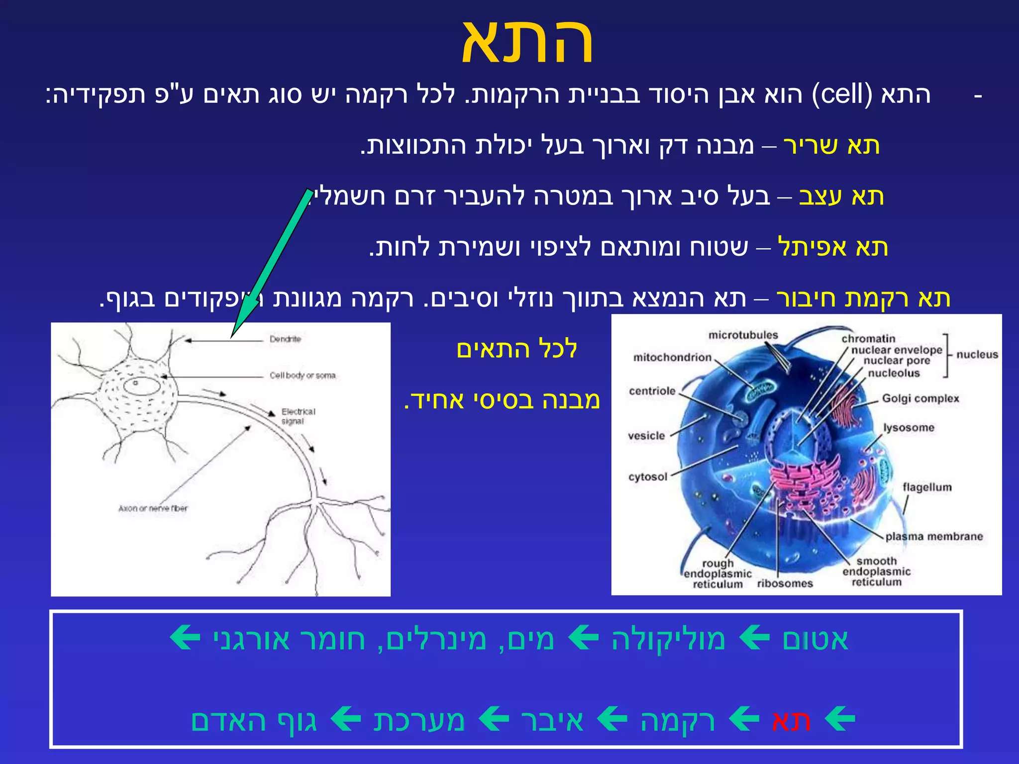 מושגי יסוד ברפואה | PPTX