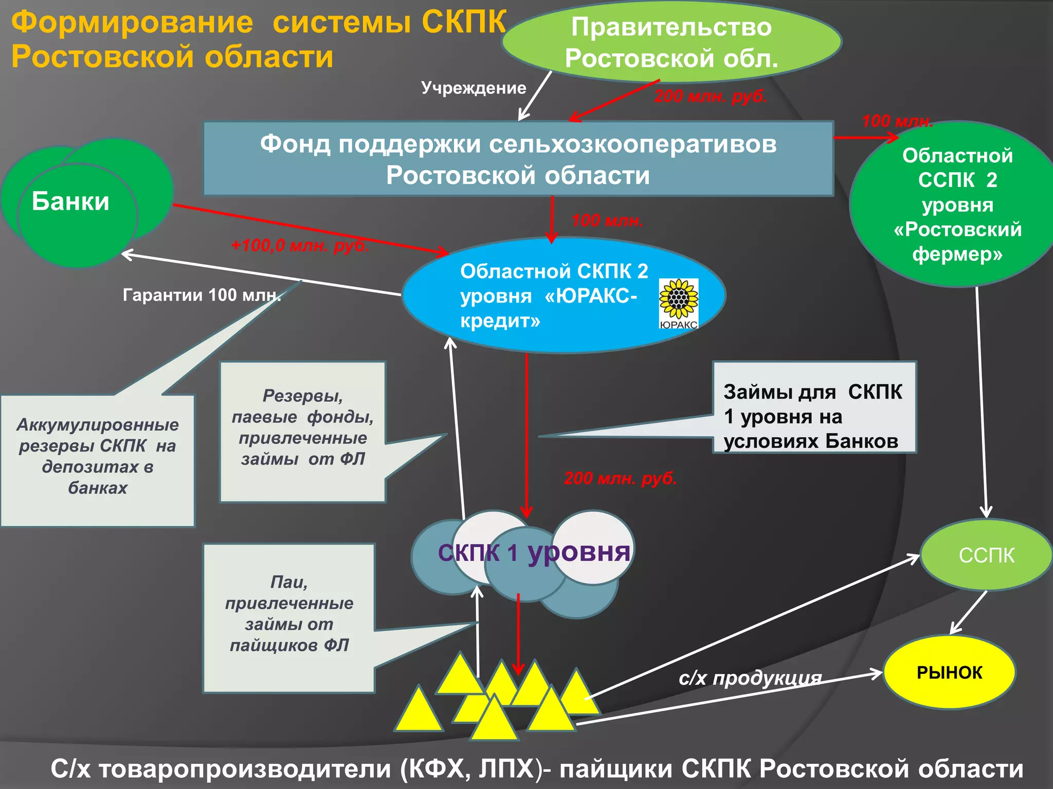 Формирование системы СКПК 
Ростовской области 
Правительство 
Ростовской обл. 
200 млн. руб. 
Учреждение 
Фонд поддержки сельхозкооперативов 
Ростовской области 
100 млн. 
Областной СКПК 2 
уровня «ЮРАКС- 
кредит» 
200 млн. руб. 
СКПК 1 уровня 
+100,0 млн. руб. 
Гарантии 100 млн. 
Резервы, 
паевые фонды, 
привлеченные 
займы от ФЛ 
100 млн. 
Областной 
ССПК 2 
уровня 
«Ростовский 
фермер» 
ССПК 
РЫНОК 
Банки 
Аккумулировнные 
резервы СКПК на 
депозитах в 
банках 
Займы для СКПК 
1 уровня на 
условиях Банков 
с/х продукция 
Паи, 
привлеченные 
займы от 
пайщиков ФЛ 
С/х товаропроизводители (КФХ, ЛПХ)- пайщики СКПК Ростовской области 
 
