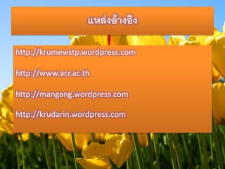 แหล่งอ้างอิง 
http://krumewstp.wordpress.com 
http://www.acr.ac.th 
http://mangang.wordpress.com 
http://krudarin.wordpress.com 
