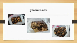 รูปภาพประกอบ 
 