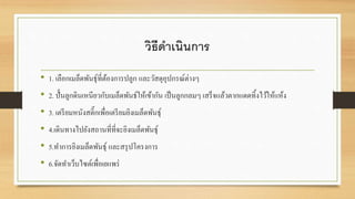 วิธีดาเนินการ 
• 1. เลือกเมล็ดพันธุ์ที่ต้องการปลูก และวัสดุอุปกรณ์ต่างๆ 
• 2. ปั้นลูกดินเหนียวกับเมล็ดพันธ์ให้เข้ากัน เป็นลูกกลมๆ เสร็จแล้วตากแดดทิ้งไว้ให้แห้ง 
• 3. เตรียมหนังสติ๊กเพื่อเตรียมยิงเมล็ดพันธุ์ 
• 4.เดินทางไปยังสถานที่ที่จะยิงเมล็ดพันธุ์ 
• 5.ทา การยิงเมล็ดพันธุ์ และสรุปโครงการ 
• 6.จัดทา เว็บไซต์เพื่อเยแพร่ 
 