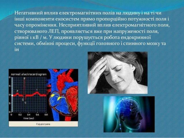 Вплив Магнітного Поля На Живі Організми Реферат