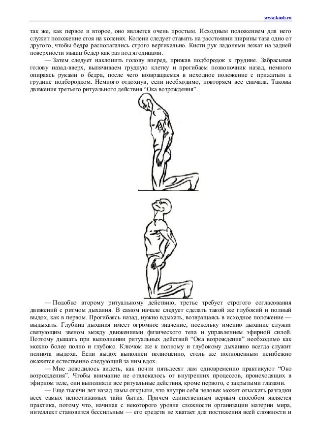 Слияние упы и оки