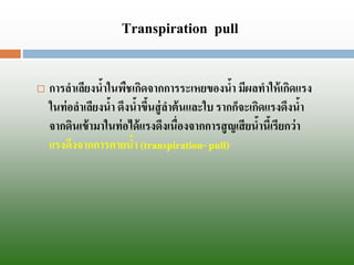 Transpirationpull 
การลาเลียงน้าในพืชเกิดจากการระเหยของน้า มีผลทาให้เกิดแรง ในท่อลาเลียงน้า ดึงน้าขึ้นสู่ลาต้นและใบ รากก็จะเกิดแรงดึงน้า จากึϸนเข้ามาในท่อได้แรงดึงเนื่องจากการสูญเสียน้านี้เรียกว่า แรงดึงจากการคายน้า (transpiration-pull)  