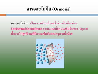 การออสโมซิสเป็นการเคลื่อนที่ของน้าผ่านเยื่อเลือกผ่าน Semipermeablemembrane จากบริเวณที่มีความเข้มข้นของ อนุภาค น้ามากไปสู่บริเวณที่มีความเข้มข้นของอนุภาคน้าน้อย 
การออสโมซิส(Osmosis)  