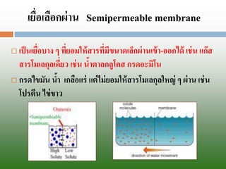 เยื่อเลือกผ่านSemipermeablemembrane 
เป็นเยื่อบาง ๆ ที่ยอมให้สารที่มีขนาดเล็กผ่านเข้า-ออกได้ เช่น แก๊ส สารโมเลกุลเดี่ยว เช่น น้าตาลกลูโคส กรดอะมิโน 
กรดไขมัน น้า เกลือแร่ แต่ไม่ยอมให้สารโมเลกุลใหญ่ ๆ ผ่าน เช่น โปรตีน ไข่ขาว  