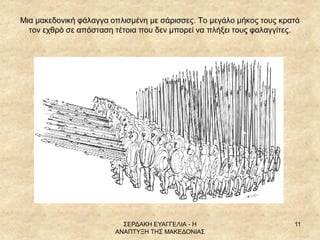 ΣΕΡΔΑΚΗ ΕΥΑΓΓΕΛΙΑ - Η ΑΝΑΠΤΥΞΗ ΤΗΣ ΜΑΚΕΔΟΝΙΑΣ 
11 
Μια μακεδονική φάλαγγα οπλισμένη με σάρισσες. Το μεγάλο μήκος τους κρατ...
