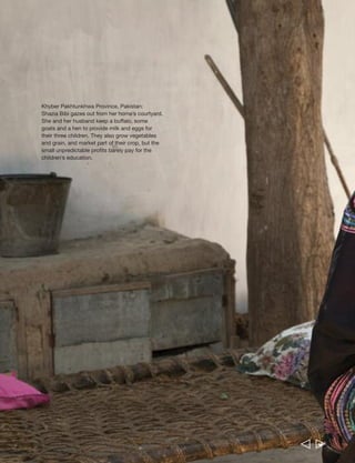 112 Rural Poverty Report 2011 
Shazia Bibi, in her mid-thirties and a mother 
of three, lives in Khyber Pakhtunkhwa 
(formerly the North West Frontier Province), 
Pakistan. She and her husband grow 
vegetables, garlic, taro, maize and wheat, 
and market part of their crop. But the small, 
unpredictable profits generated are scarcely 
enough to pay for the children’s education 
and the long-term medical treatment Shazia 
needs for a heart condition. 
Once the crops are ready to harvest, they 
check market prices and calculate whether 
their costs – including land rental, seeds, 
fertilizer, pesticides and some hired labour – 
will be covered if they sell straightaway. “If all 
our costs are covered,” Shazia says, “we 
immediately take [the crop] out of the land 
and take it to the market in Abbottabad.” 
If they predict selling at a loss they store the 
harvest at home, a time-consuming process 
as the crops must be cleaned and shifted 
from room to room every 15 days to avoid 
termite infestation. 
Taking the example of garlic, Shazia explains 
how the market system works – or doesn’t 
work – for them: “Sometimes one makes a 
profit and sometimes the loss is doubled… 
[that is] we do not get as much money as we 
have spent. When other garlic from China or 
India arrives our garlic loses all its value… 
We hold on to our garlic in our houses, for 
the reason that maybe our condition 
improves and it sells at a good price…” 
According to Shazia, not only does imported 
garlic drive down the price of local garlic, it 
also cannot be conserved in the way that 
local garlic can. “Ours is small and long-lasting,” 
she says. “If we store it for one and 
half years it remains fresh.” 
They also keep a buffalo, some goats and a 
hen, mostly using their products themselves, 
but also selling the buffalo milk: “With this 
we try to improve our condition to some 
extent.” Using the buffalo manure also 
saves them from having to purchase so 
much fertilizer. 
  
 