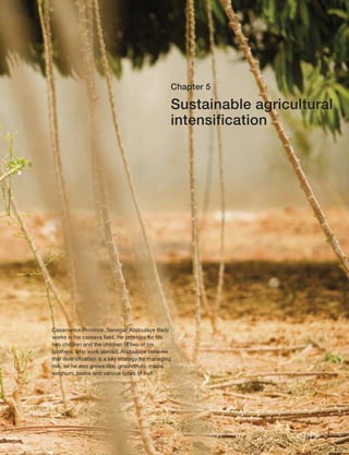 148 Rural Poverty Report 2011 
Introduction 
If agriculture – particularly smallholder agriculture – is to provide one of the principal 
routes out of poverty for the next generation of rural men and women, and create 
the sectoral growth that provides non-farm opportunities for others, it must be an 
agriculture that is productive, profitable and sustainable. It must be linked to 
consumers through efficient markets, and it must be able to respond to market 
opportunities and requirements in terms of the 
products demanded, the quantities required and 
ever-higher specifications and quality standards. 
In addition, it needs to be an agriculture that helps 
reduce the vulnerabilities of poor rural people to 
risks and shocks. Finally, it needs to be an agriculture 
that can support the livelihoods of future generations 
– one that does not deplete, but rather helps to 
protect or restore, the natural resource base. 
The world population is expected to grow to over 
9 billion people by 2050, and with growing 
urbanization and increasing incomes, there will be 
a need to raise food production by some 70 per cent. 
It may be possible to increase the total arable area in 
developing countries by no more than 12 per cent by 
2050,221 the bulk of which would be in sub-Saharan 
Africa and Latin America. Therefore, future increases 
in agricultural production will have to come mostly 
from more intensive land use and higher crop yields; in 
land-scarce countries almost all growth will have to be 
achieved in this way.222Given growing natural resource 
constraints in many areas, future increases in livestock 
and fishery production will also need to be based on more efficient and sustainable 
use of available resources. Although the challenge is a global one, the appropriate 
responses need to be context-specific. Farming systems vary enormously across the 
developing world, resulting from a combination of natural resource endowments, 
population densities, social and political relations, market opportunities and generation 
upon generation of innovation, learning and refinement. They span the production of 
crops, livestock and fish, and they offer different opportunities for intensification, have 
different requirements and face different constraints. This chapter recognizes that 
diversity, and looks at how different agricultural systems can most effectively be 
intensified in a way that minimizes cost and risk and offers the greatest opportunities 
to smallholder farmers – both women and men, today and for future generations. 
  
“The way of farming in the old days 
was with human beings pulling the 
plough. The young people have never 
seen that, nor have they done that. 
They don’t want to farm, only the old 
ones do… If we continue to farm using 
the old ways of ploughing… who will 
be willing to farm?” 
Li Guimin, 
female, 50 years, China 
 