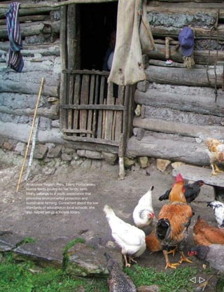 Amazonas Region, Peru: Eliany Portocarrero 
Novoa feeds poultry on her family farm. 
Eliany belongs to a youth association that 
promotes environmental protection and 
sustainable farming. Concerned about the low 
standards of education in local schools, she 
also helped set up a mobile library. 
  
 