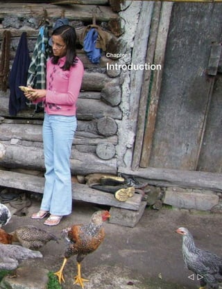 Chapter 1 
Introduction 
  
 