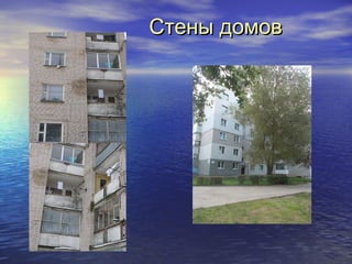ССттеенныы ддооммоовв 
 