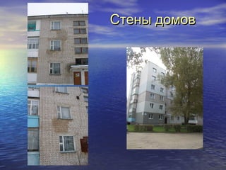 ССттеенныы ддооммоовв 
 
