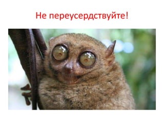 Не переусердствуйте! 
 