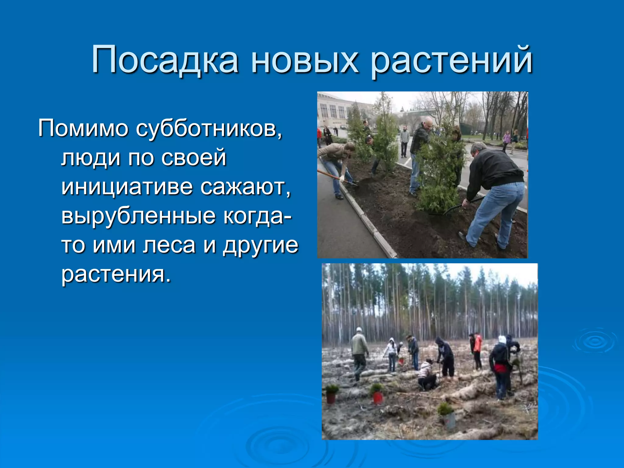 Посадка новых растений 
Помимо субботников, 
люди по своей 
инициативе сажают, 
вырубленные когда- 
то ими леса и другие 
растения. 
 