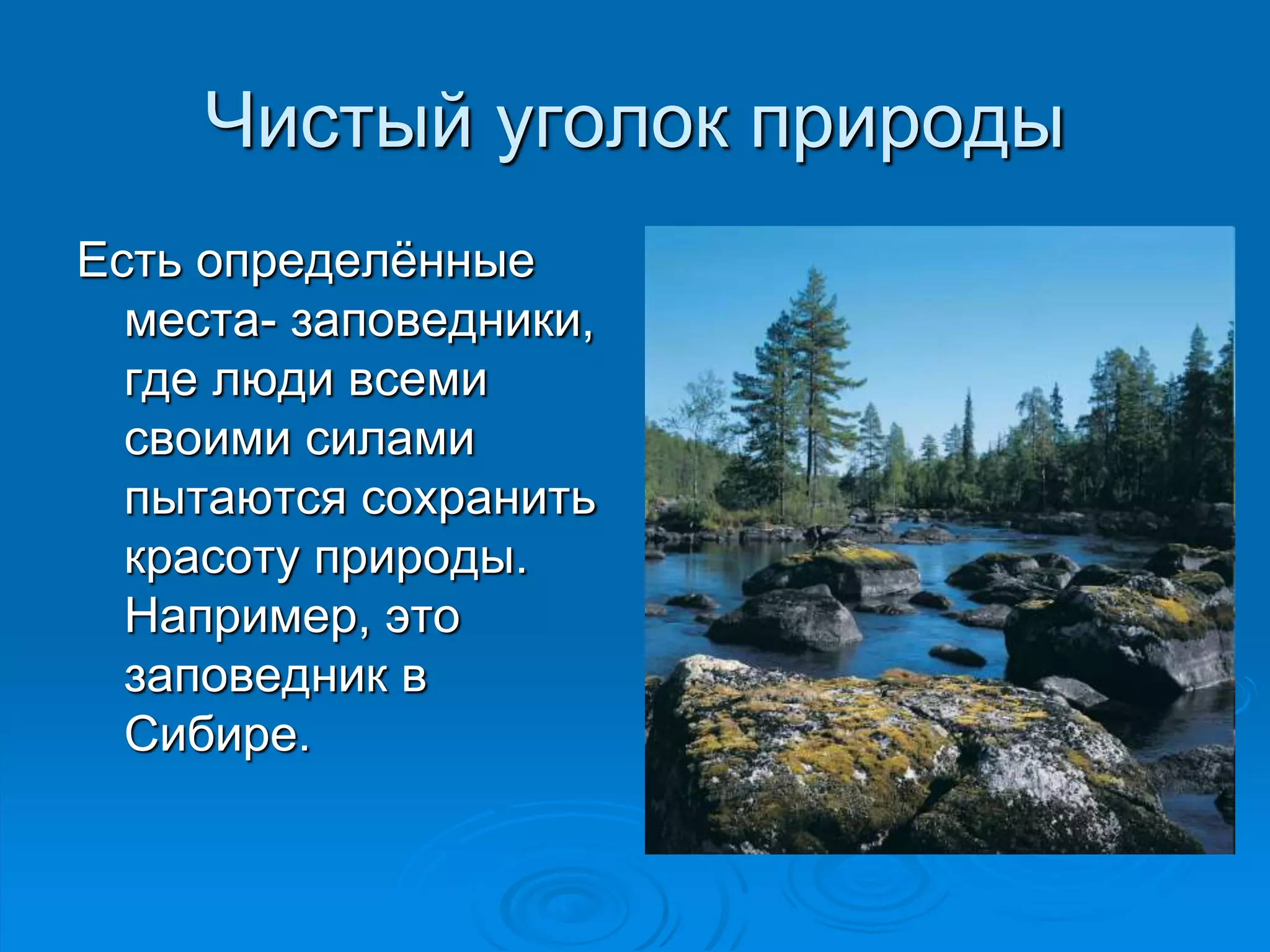 Чистый уголок природы 
Есть определённые 
места- заповедники, 
где люди всеми 
своими силами 
пытаются сохранить 
красоту природы. 
Например, это 
заповедник в 
Сибире. 
 