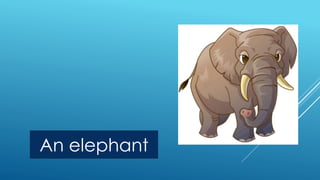 An elephant 
 