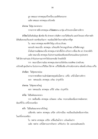 51 
¦³„µÎ(­¨³ 