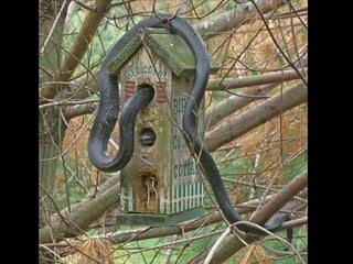 不能想像的鏡頭！