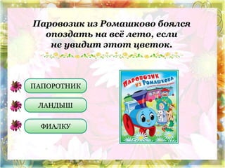 Паровозик из Ромашково боялся 
опоздать на всё лето, если 
не увидит этот цветок. 
ПАПОРОТНИК 
ЛАНДЫШ 
ФИАЛКУ 
 