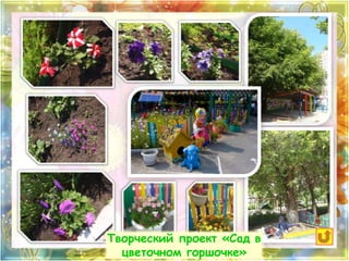 Творческий проект «Сад в 
цветочном горшочке» 
 