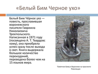 зарайская бим | PPT