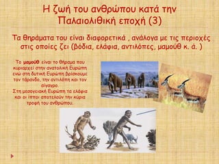 Η ζωή του ανθρώπου κατά την 
Παλαιολιθική εποχή (3) 
Τα θηράματα του είναι διαφορετικά , ανάλογα με τις περιοχές 
στις οποίες ζει (βόδια, ελάφια, αντιλόπες, μαμούθ κ. ά. ) 
Το μαμούθ είναι το θήραμα που 
κυριαρχεί στην ανατολική Ευρώπη 
ενώ στη δυτική Ευρώπη βρίσκουμε 
τον τάρανδο, την αντιλόπη και τον 
αίγαγρο. 
Στη μεσογειακή Ευρώπη τα ελάφια 
και οι ίπποι αποτελούν την κύρια 
τροφή του ανθρώπου. 
 