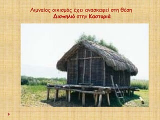 Λιμναίος οικισμός έχει ανασκαφεί στη θέση 
Δισπηλιό στην Καστοριά 
 