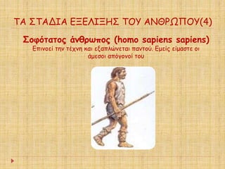 ΤΑ ΣΤΑΔΙΑ ΕΞΕΛΙΞΗΣ ΤΟΥ ΑΝΘΡΩΠΟΥ(4) 
Σοφότατος άνθρωπος (homo sapiens sapiens) 
Επινοεί την τέχνη και εξαπλώνεται παντού. Εμείς είμαστε οι 
άμεσοι απόγονοί του 
 