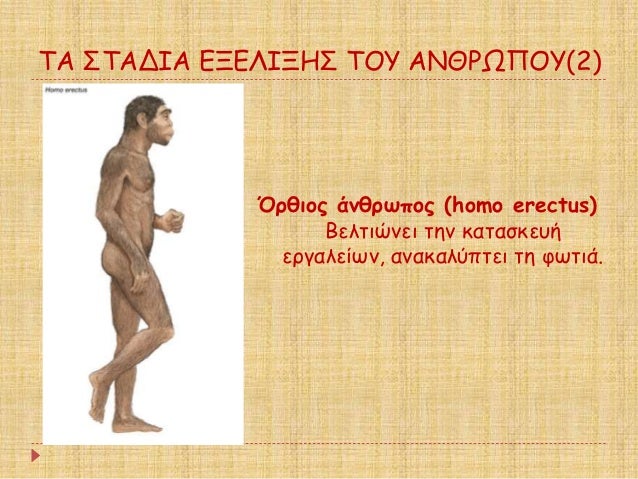 ΤΠΣΤÎÎÎÎ ÎÎÎÎÎÎÎΣ ΤÎÎ¥ ÎÎÎΡΩΠÎÎ¥(2)
ÎÏÎ¸Î¹Î¿Ï Î¬Î½Î¸ÏÏÏÎ¿Ï (homo erectus)
ÎελÏιÏνει Ïην καÏαÏκεÏ
ή
εÏγαλείÏν, ανακαλÏÏÏει Ïη ÏÏÏ...
