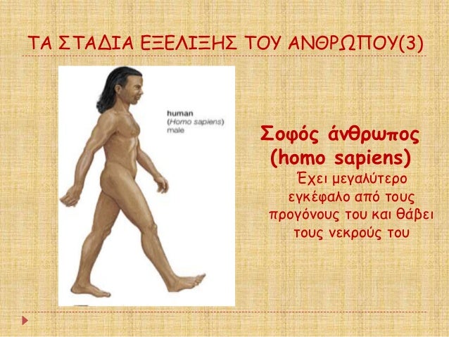ΤΠΣΤÎÎÎÎ ÎÎÎÎÎÎÎΣ ΤÎÎ¥ ÎÎÎΡΩΠÎÎ¥(3)
ΣοÏÏÏ Î¬Î½Î¸ÏÏÏοÏ
(homo sapiens)
ÎÏει μεγαλÏÏεÏο
εγκÎÏαλο αÏÏ ÏοÏ
Ï
ÏÏογÏνοÏ
Ï ÏοÏ
και ...