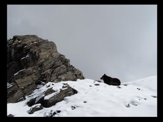 АЛТАЙ. 300 метров над уровнем моря