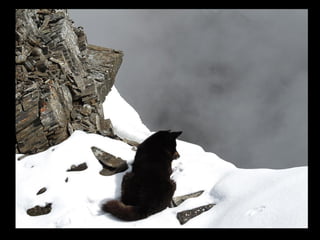 АЛТАЙ. 300 метров над уровнем моря
