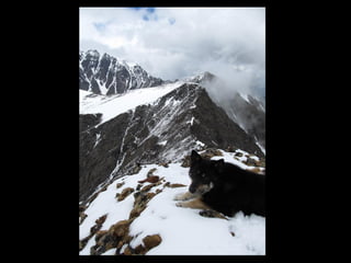 АЛТАЙ. 300 метров над уровнем моря