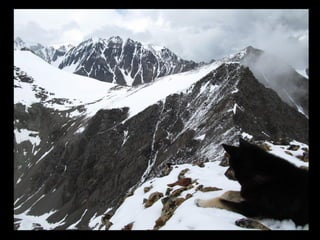 АЛТАЙ. 300 метров над уровнем моря